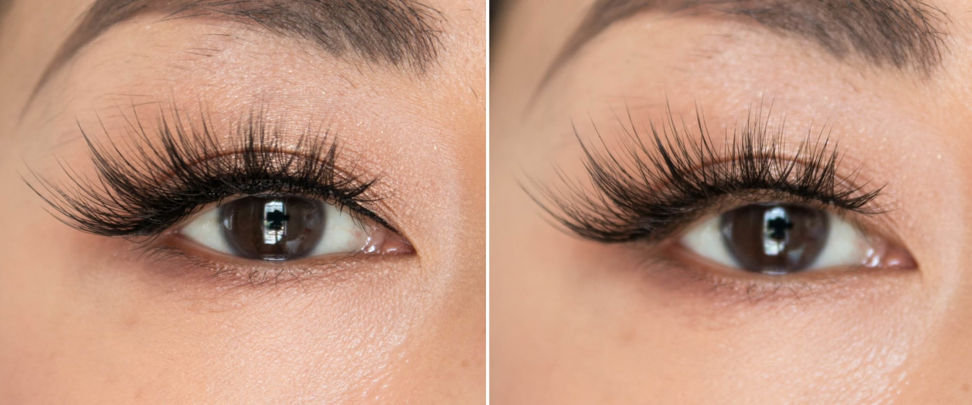 Where do eyelashes go after you blink?